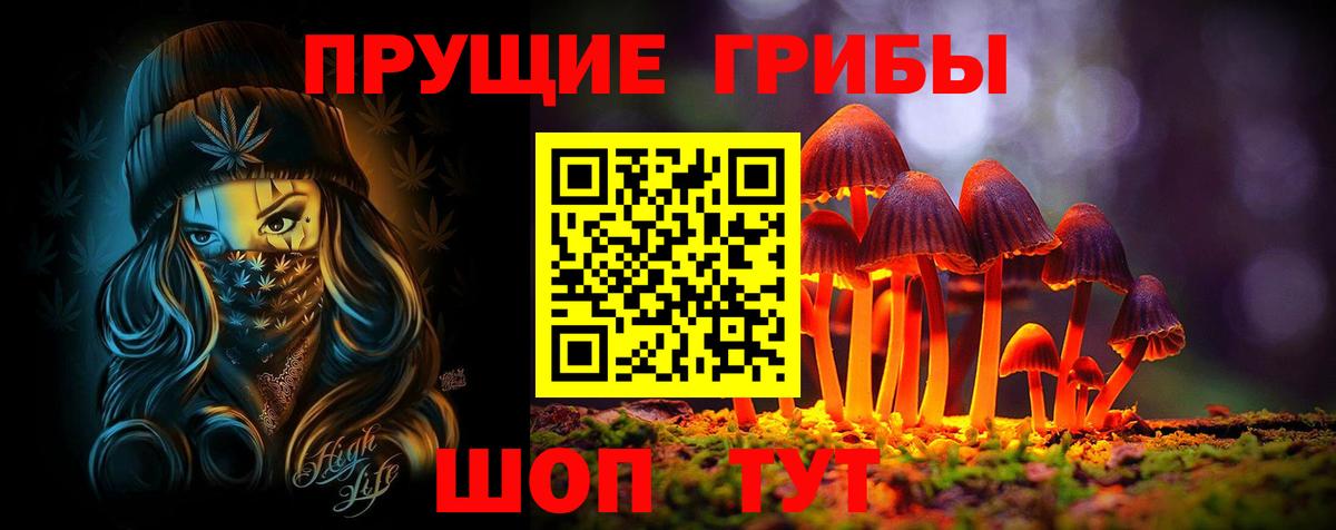 Псилоцибиновые грибы Psilocybe  Галлюциногенные грибы мицелий  Шуя  Вход с VPN 